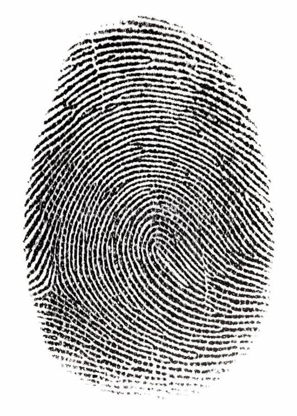 black and white fingerprint